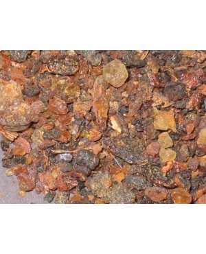 Commiphora mukul 